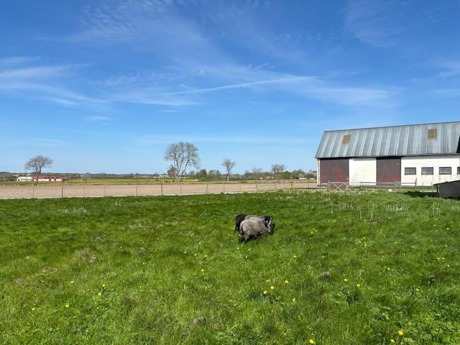 Oesterlen Oasis Spjutstorp Luaran gambar
