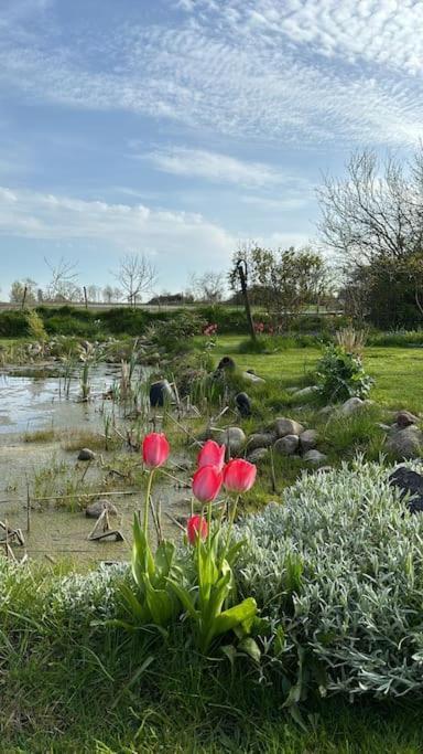 Oesterlen Oasis Spjutstorp Luaran gambar