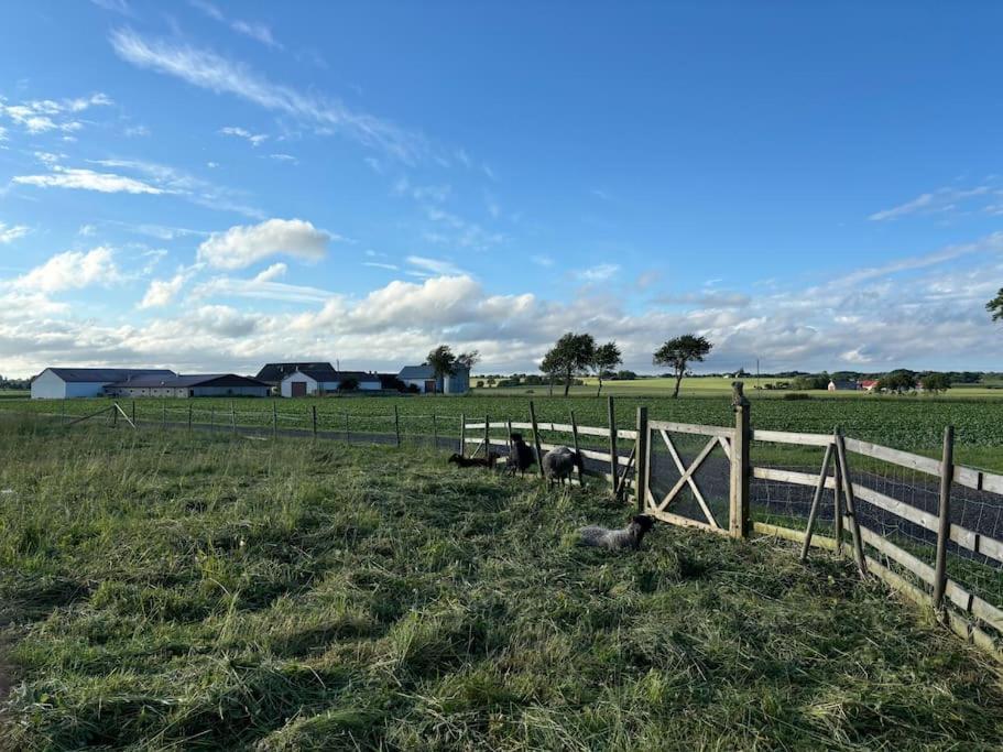 Oesterlen Oasis Spjutstorp Luaran gambar
