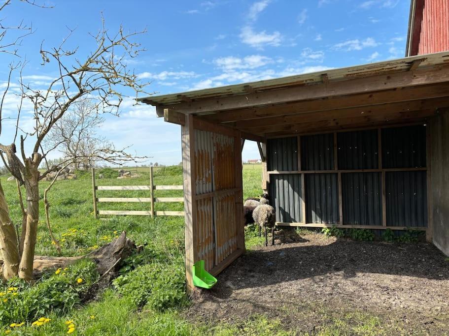 Oesterlen Oasis Spjutstorp Luaran gambar
